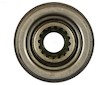 Pastorek RC - Bosch 1006210271