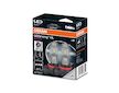 Osram LEDriving HL H8 H11 H16 12V 8,2W PGJ19-2