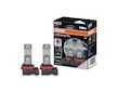 Osram LEDriving HL H8 H11 H16 12V 8,2W PGJ19-2