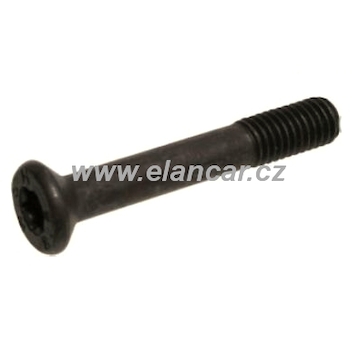 Šroub M5 x 30 mm Bosch 1003421008