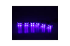 Predator LED do mřížky, 12V, modrý, KF071-2BLUE